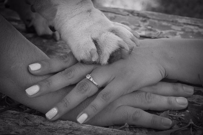 Una foto del save the date