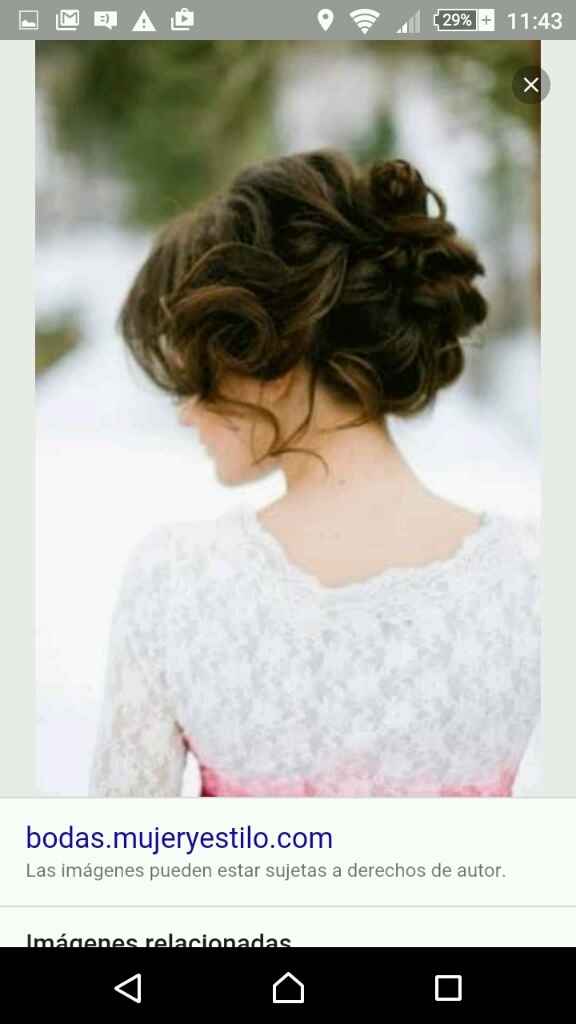 Peinados con el cabello recojido - 2