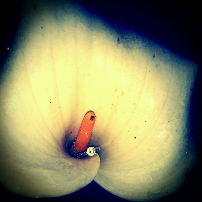 Y si me enseñas tu anillo? - 1