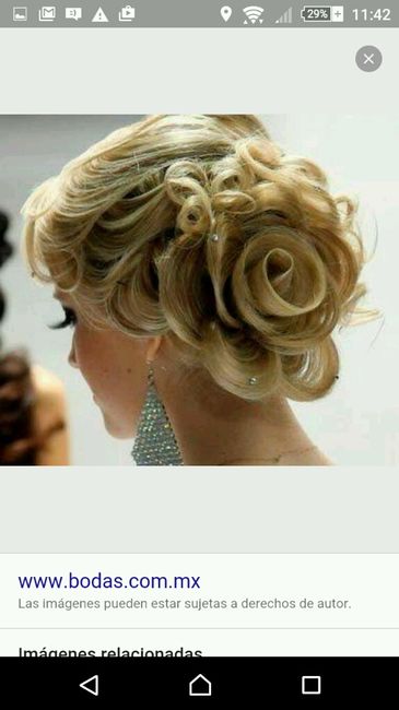 Peinados con el cabello recojido - 5