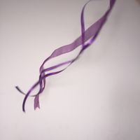 ¿qué aventaran al salir de la iglesia? - 2