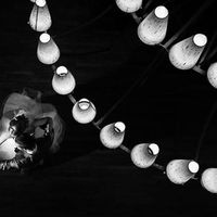 20) Fotografía por Peter van der Lingen