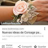 Paleta de colores - 4