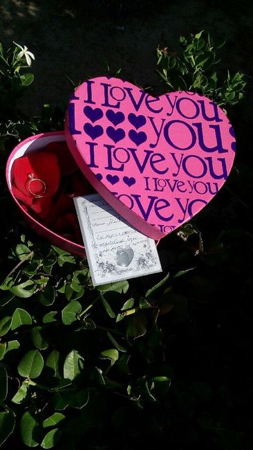 Cómo te dijo: ¿quieres casarte conmigo? 💍 - 1