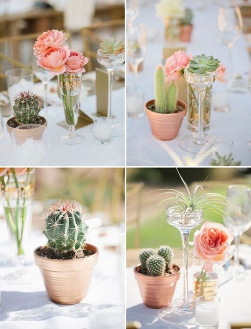 Suculentas como recuerdos de boda 🌵🌸 1