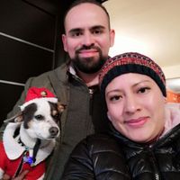 ¿Les gusta la navidad o son una pareja Grinch? - 1