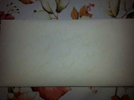 Invitaciones boda miguel angel y ana luz - 1