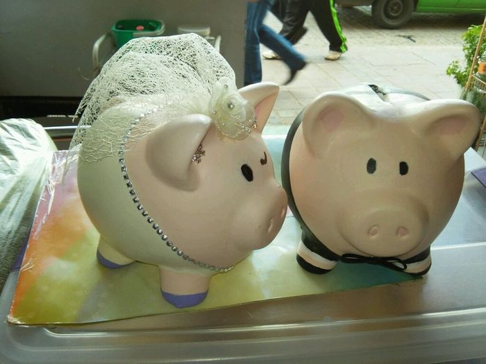 Nuestros cochinitos - 2