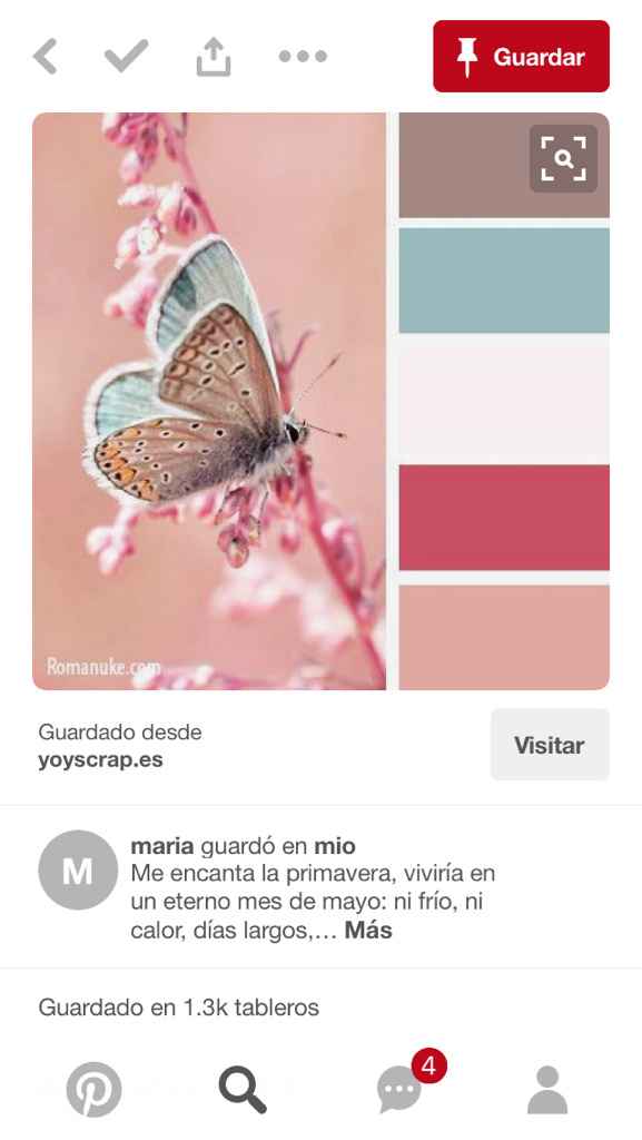 Help me!! No sí si deba o no escoger un tema para mi boda.. y si sí, ¿cuál? - 2