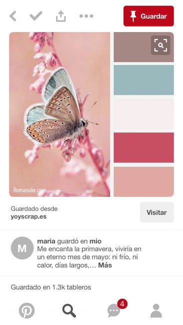 Help me!! No sí si deba o no escoger un tema para mi boda.. y si sí, ¿cuál? - 2
