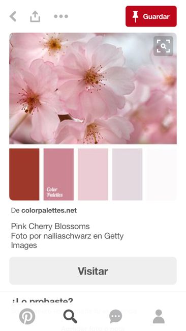 Combinación de colores en lila y blanco - 1