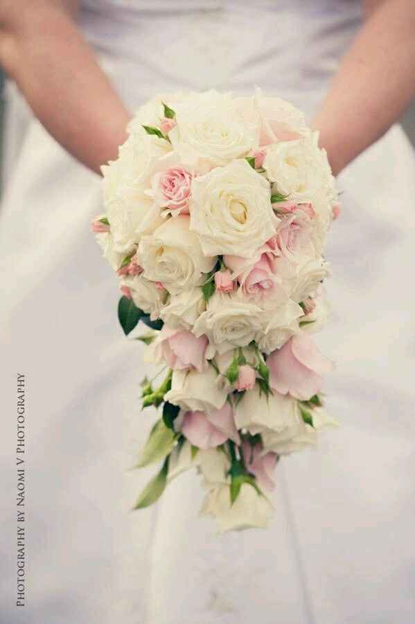 Cual elegir  ??? - 5