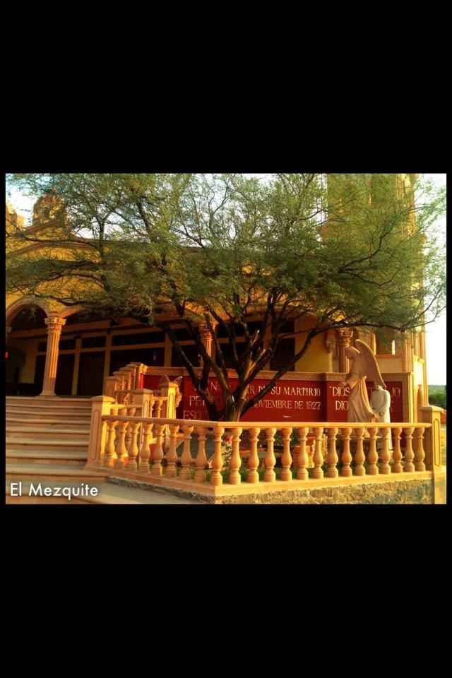 Nuevas Brides queremos conocerlas!!! - 2