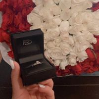 Compromiso: ¿Anillo dorado o plateado? - 1