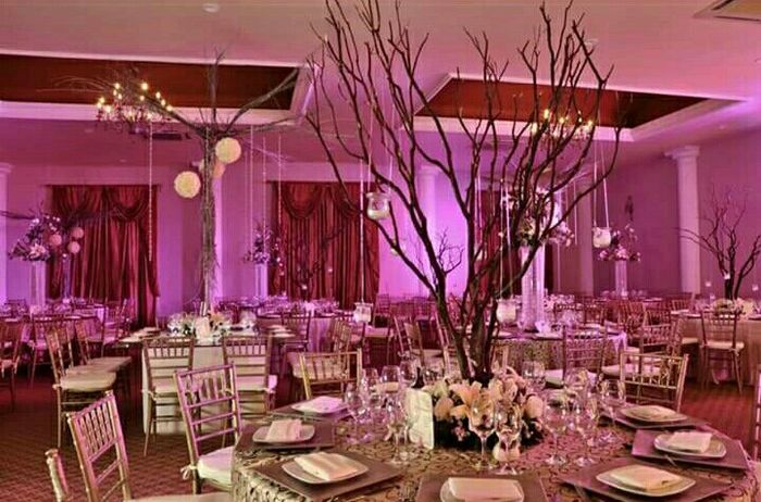 Mi provedor en tampico - 3