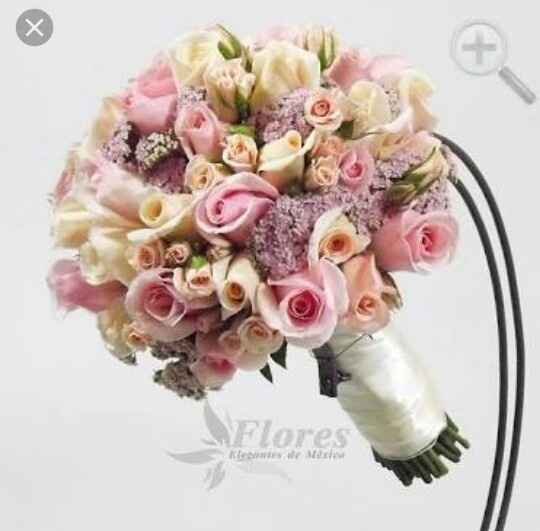 Ramo deshidratado - 1