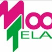 Ayuda... tiendas de tela en guadalajara?? - 1