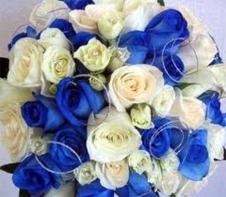 Rosas azules