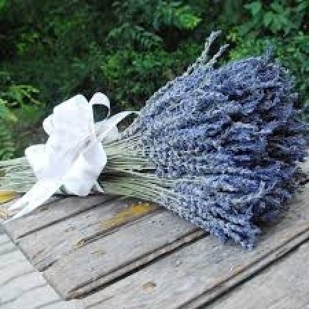 ramo de lavanda azul