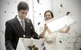 Mariposas en la boda
