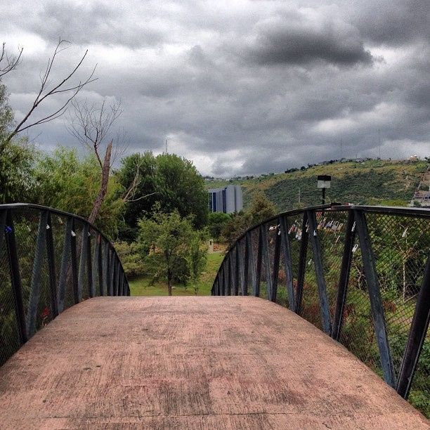 Parque Rufino Tamayo