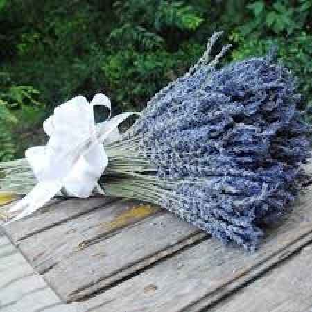 ramo de lavanda azul