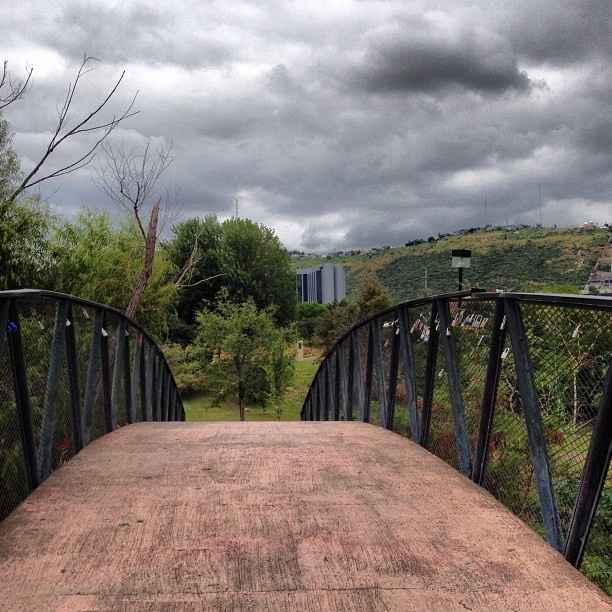 Parque Rufino Tamayo