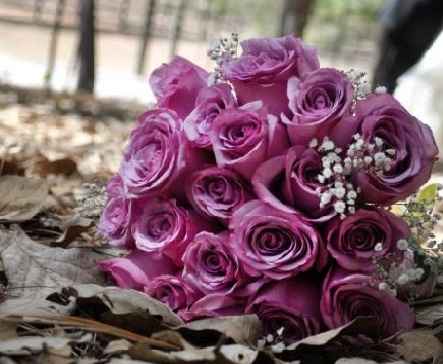 ** ramO Natural o Artificial **