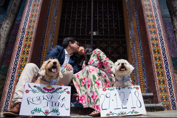 Sesión de fotos con nuestros perritos - 2