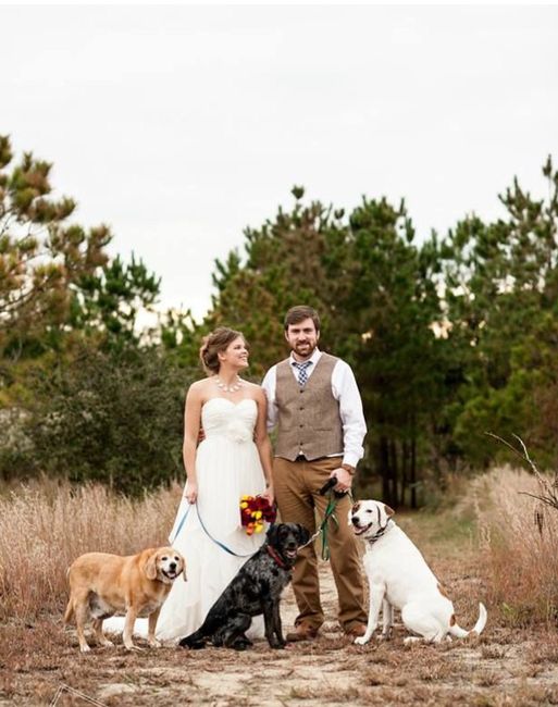 Sesión Trash the Dress con Perritos 🐶 - 3