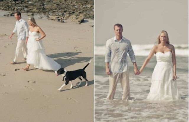 Sesión Trash the Dress con Perritos 🐶 - 4