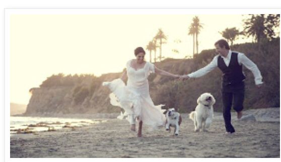 Sesión Trash the Dress con Perritos 🐶 - 7