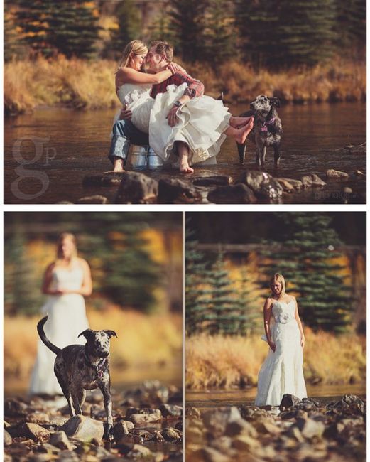 Sesión Trash the Dress con Perritos 🐶 - 8
