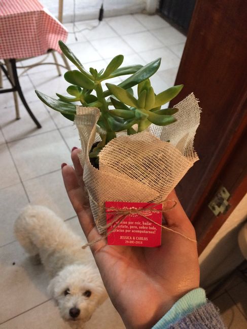 Recuerdos en la Ceremonia religiosa y/o en la recepcion? 42