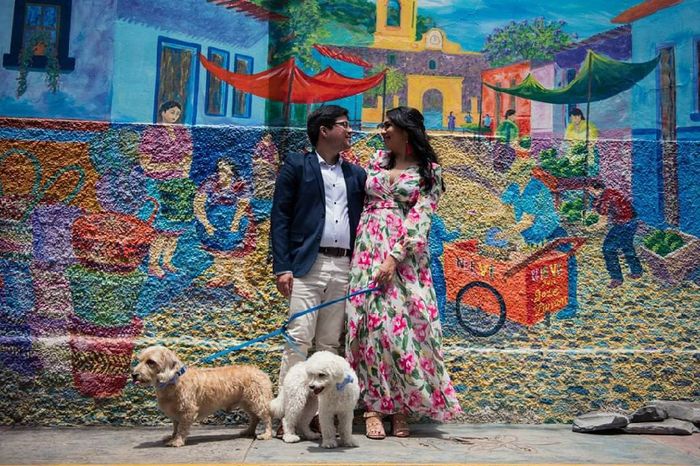 Save the date peludo 4