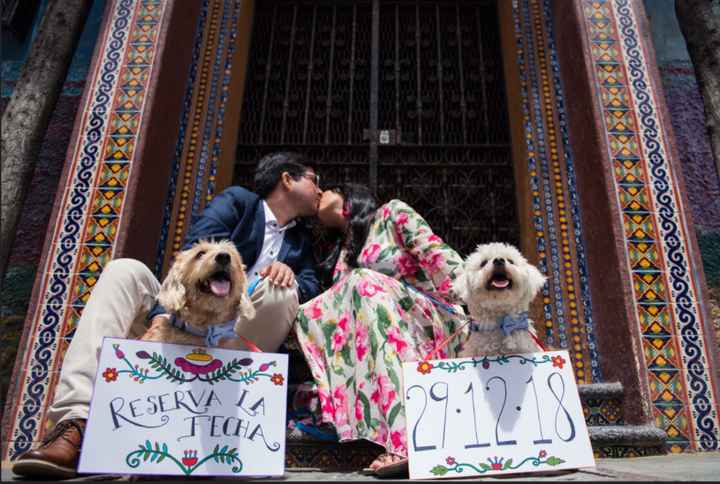 Sesión de fotos con nuestros perritos - 2