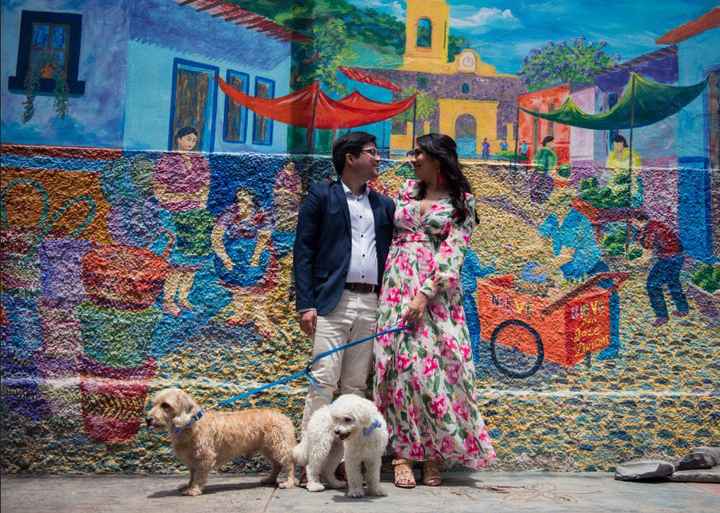 Sesión de fotos con nuestros perritos - 3
