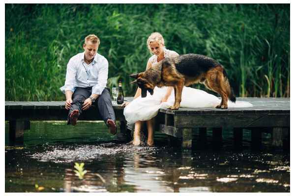 Sesión Trash the Dress con Perritos 🐶 - 6