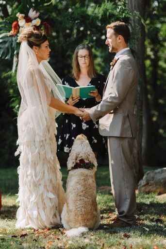 Boda con mascota