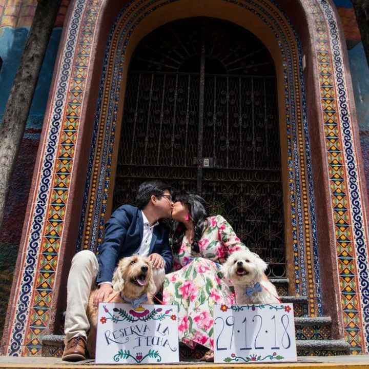 ¿Tu perrihijo / gathijo va a participar en la boda? - 1