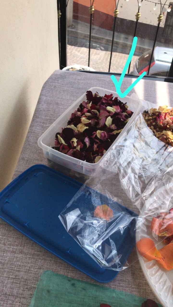 🌱 Decoración 🎁 - 1