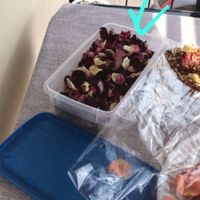 🌱 Decoración 🎁 - 1