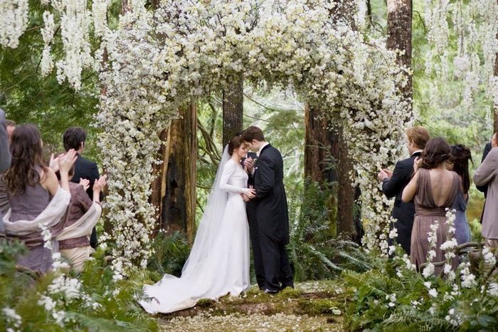 Boda twilight