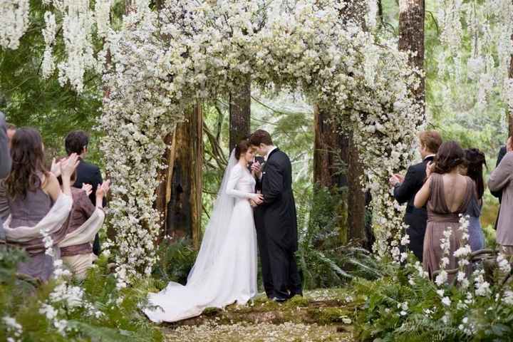Boda twilight