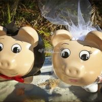 COCHINITOS 