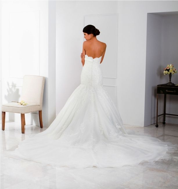 Parte trasera de mi vestido