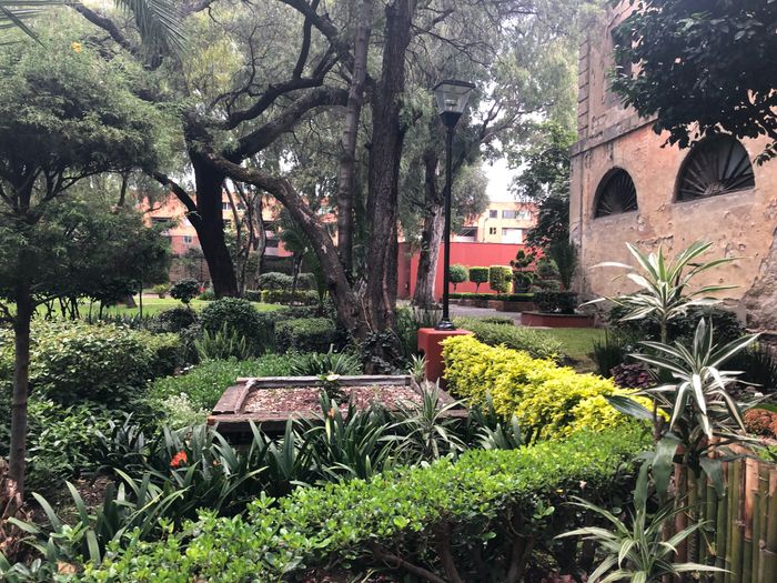 lugar ideal para mi gran Sueño. - 3