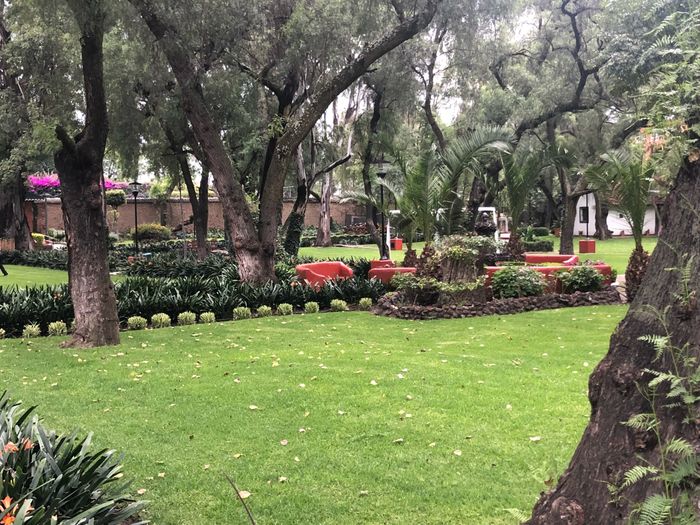 lugar ideal para mi gran Sueño. - 4