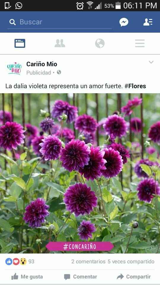 Ayuda aun no tengo recuerdos - 1