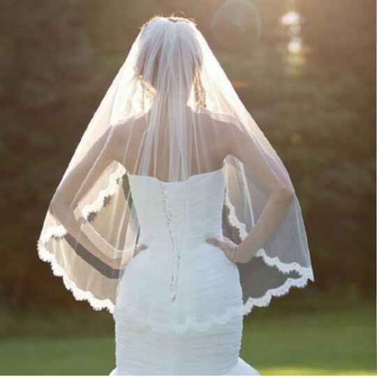 Confusion con el tipo de velo - 1